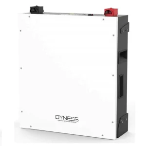 Dyness 5.12KW Lithium Battery BX51100