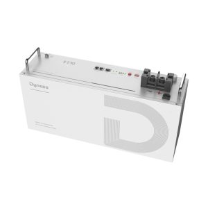 Dyness Battery 2.56kWh DL2.5 24V Lithium Battery