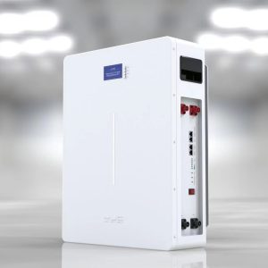 Sinotec 5Kw 100Ah Wall Mounted Lithium Battery 51.2V with Cable