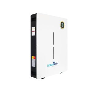 Lithium Valley 10.24kWh LiFePO₄ Battery 51.2V 200Ah Wall-Mounted